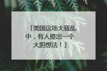 美国这场大骚乱中，有人提出一个大胆想法！