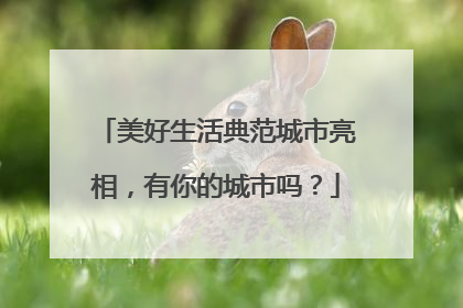 美好生活典范城市亮相，有你的城市吗？