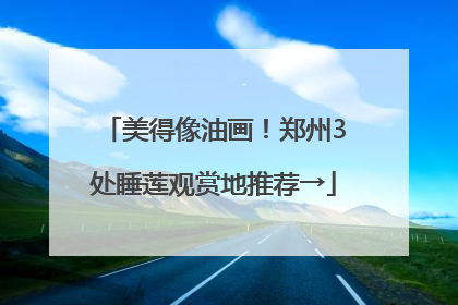 美得像油画！郑州3处睡莲观赏地推荐→