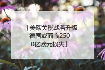 美欧关税战若升级 德国或面临2500亿欧元损失