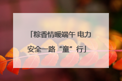 粽香情暖端午 电力安全一路“童”行
