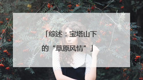 综述：宝塔山下的“草原风情”