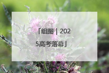 组图｜2025高考落幕