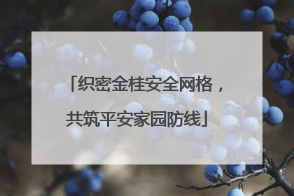 织密金桂安全网格，共筑平安家园防线