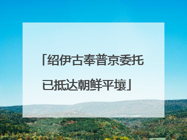 绍伊古奉普京委托已抵达朝鲜平壤