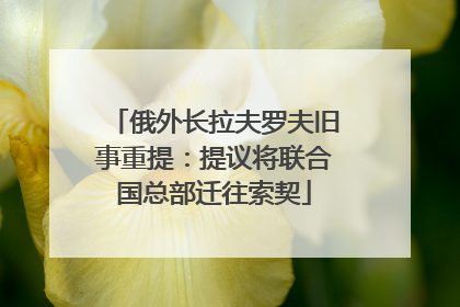 俄外长拉夫罗夫旧事重提：提议将联合国总部迁往索契