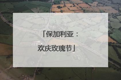 保加利亚：欢庆玫瑰节