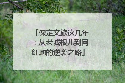 保定文旅这几年：从老城根儿到网红地的逆袭之路