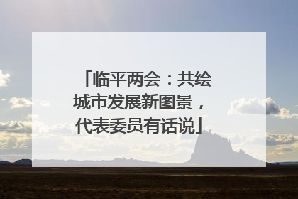 临平两会：共绘城市发展新图景，代表委员有话说