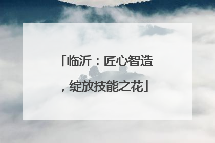 临沂：匠心智造，绽放技能之花