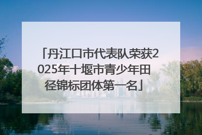 丹江口市代表队荣获2025年十堰市青少年田径锦标团体第一名