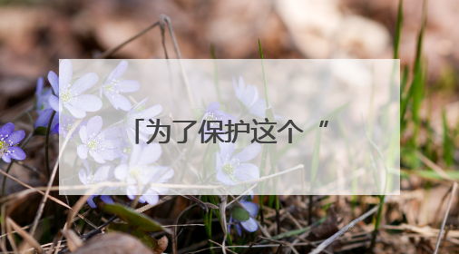 为了保护这个“世界遗产”，蚂蚁森林在云南再“种”新项目