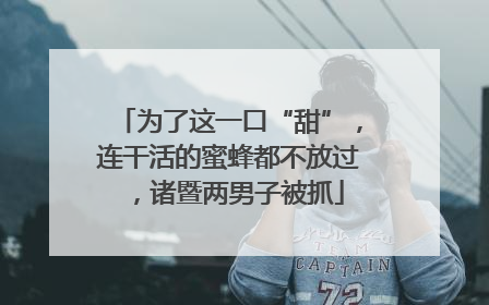 为了这一口“甜”，连干活的蜜蜂都不放过，诸暨两男子被抓
