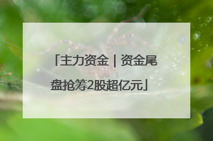 主力资金｜资金尾盘抢筹2股超亿元
