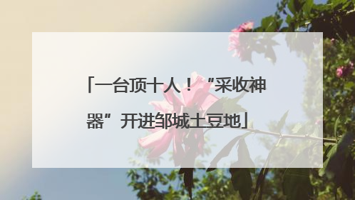 一台顶十人！“采收神器”开进邹城土豆地
