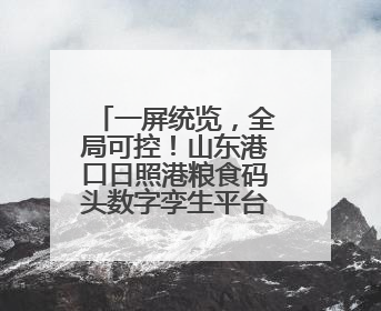 一屏统览，全局可控！山东港口日照港粮食码头数字孪生平台上线