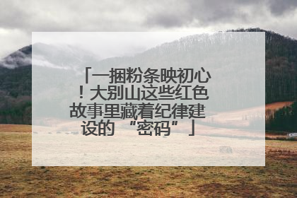 一捆粉条映初心！大别山这些红色故事里藏着纪律建设的 “密码”