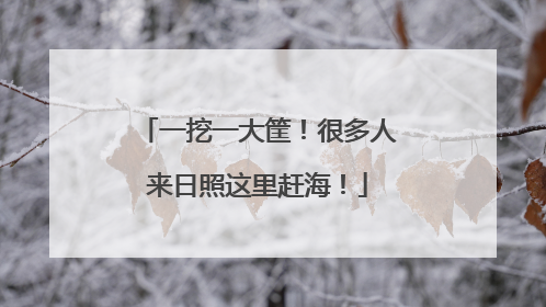一挖一大筐！很多人来日照这里赶海！