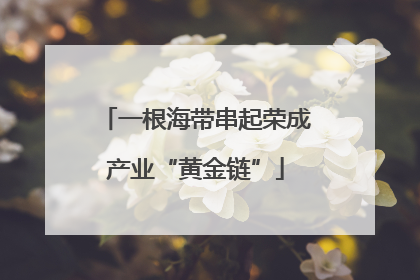 一根海带串起荣成产业“黄金链”