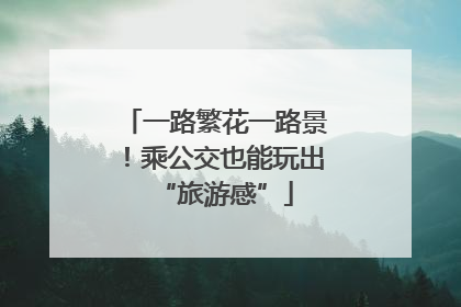 一路繁花一路景！乘公交也能玩出“旅游感”
