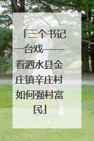 三个书记一台戏——看泗水县金庄镇辛庄村如何强村富民