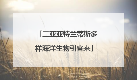 三亚亚特兰蒂斯多样海洋生物引客来