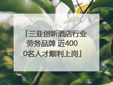 三亚创新酒店行业劳务品牌 近4000名人才顺利上岗
