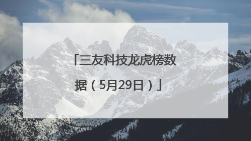三友科技龙虎榜数据（5月29日）