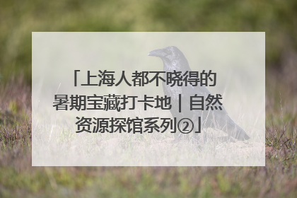 上海人都不晓得的 暑期宝藏打卡地｜自然资源探馆系列②