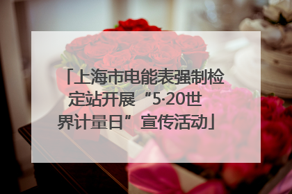 上海市电能表强制检定站开展“5·20世界计量日”宣传活动