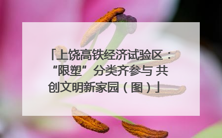 上饶高铁经济试验区：“限塑”分类齐参与 共创文明新家园（图）