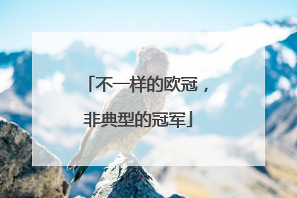 不一样的欧冠，非典型的冠军