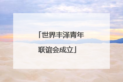 世界丰泽青年联谊会成立