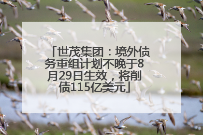 世茂集团：境外债务重组计划不晚于8月29日生效，将削债115亿美元