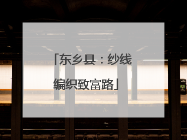 东乡县：纱线编织致富路