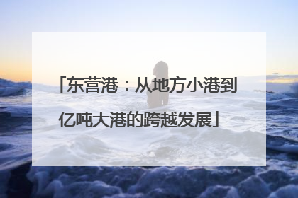 东营港：从地方小港到亿吨大港的跨越发展