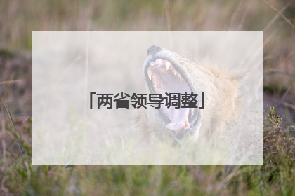 两省领导调整