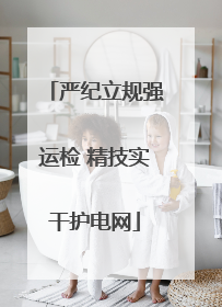 严纪立规强运检 精技实干护电网