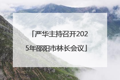 严华主持召开2025年邵阳市林长会议