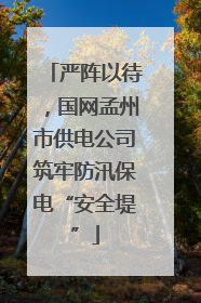 严阵以待，国网孟州市供电公司筑牢防汛保电“安全堤”