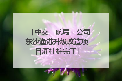 中交一航局二公司东沙渔港升级改造项目灌柱桩完工