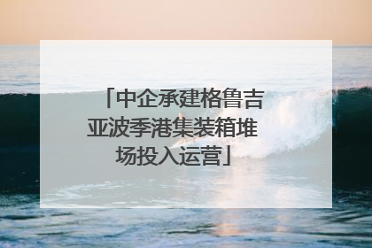中企承建格鲁吉亚波季港集装箱堆场投入运营
