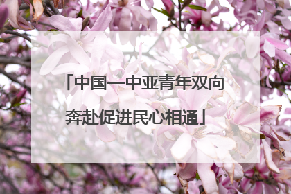 中国—中亚青年双向奔赴促进民心相通