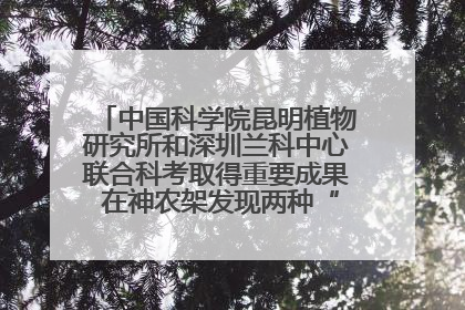 中国科学院昆明植物研究所和深圳兰科中心联合科考取得重要成果 在神农架发现两种“国保”级兰花