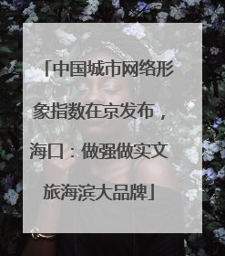 中国城市网络形象指数在京发布，海口：做强做实文旅海滨大品牌