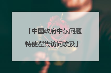中国政府中东问题特使翟隽访问埃及