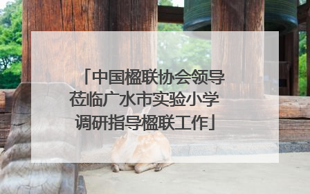 中国楹联协会领导莅临广水市实验小学调研指导楹联工作