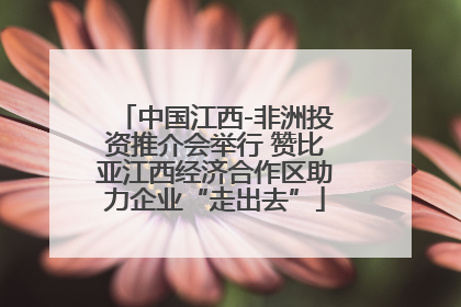 中国江西-非洲投资推介会举行 赞比亚江西经济合作区助力企业“走出去”
