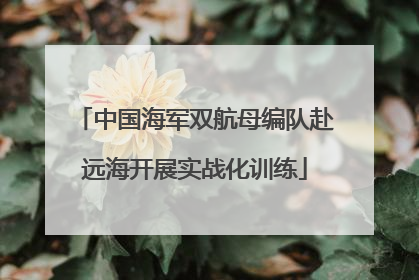 中国海军双航母编队赴远海开展实战化训练
