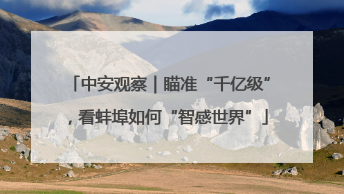 中安观察｜瞄准“千亿级”，看蚌埠如何“智感世界”